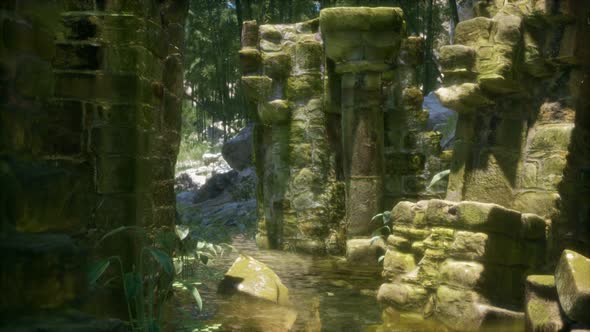 Stone Ruins in a Forest, Abandoned Ancient Castle