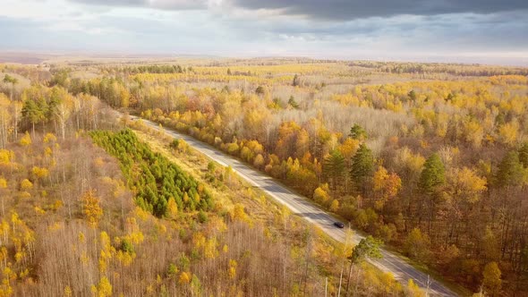 Car On The Road Autumn Nature