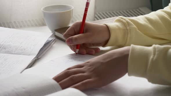 Closeup view on Ukrainian teen girl sitting at a table with notebooks, preparing for a European univ