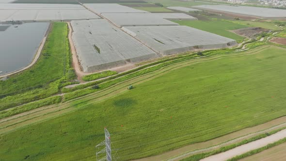 Combine harvester processing a large Wheat field for Silage, Aerial view.