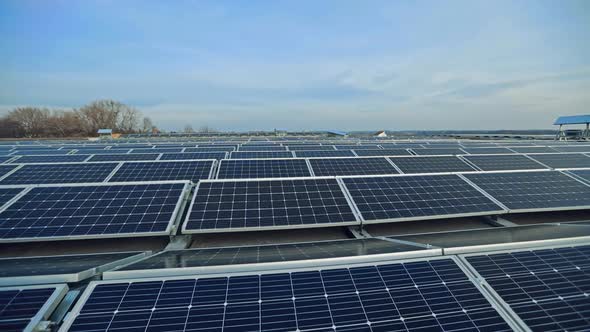 Rows of Solar Panels in the Modern Farm.