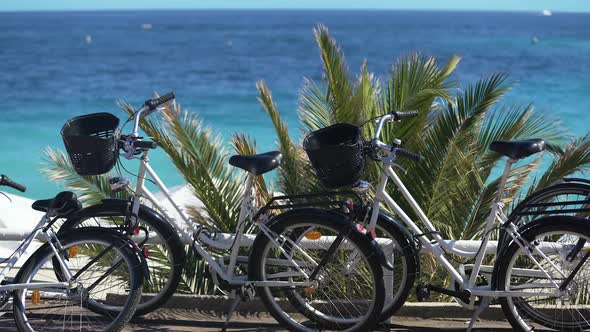 Bicycles for Family Trips During Vacation at Resort Town Active Recreation