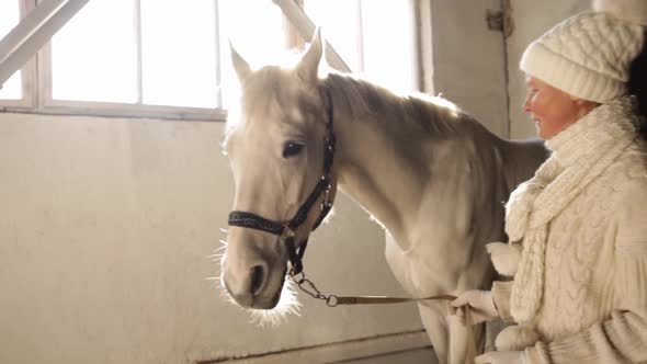 An Elderly Woman Praises Strokes a Horse and Kisses Her Head