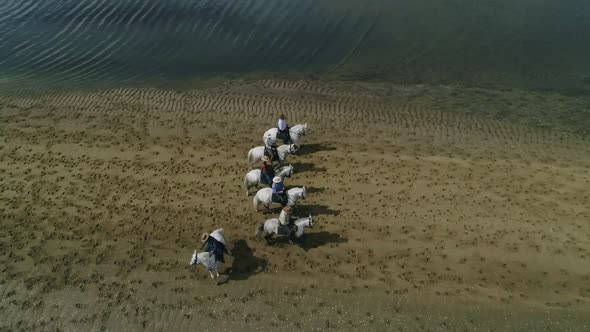 aerial view of horses on the Lakeshore, minas gerais, Brazil.