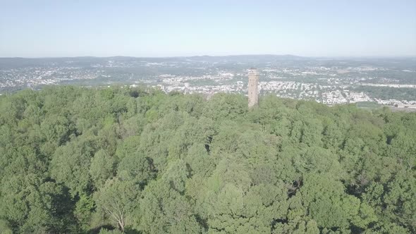 wide view of a stone tower amongst trees