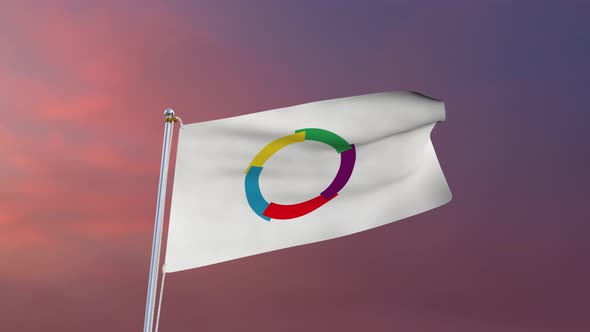 Flag of the Organisation internationale de la Francophonie Waving 4k