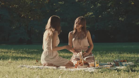 Young Girls At A Picnic