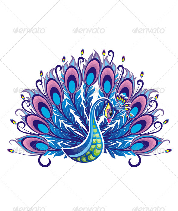 Peacock Graphics Designs And Templates Graphicriver