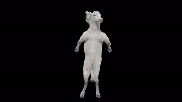 55 White Horse Dancing 4K alt