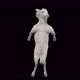 55 White Horse Dancing 4K - VideoHive Item for Sale