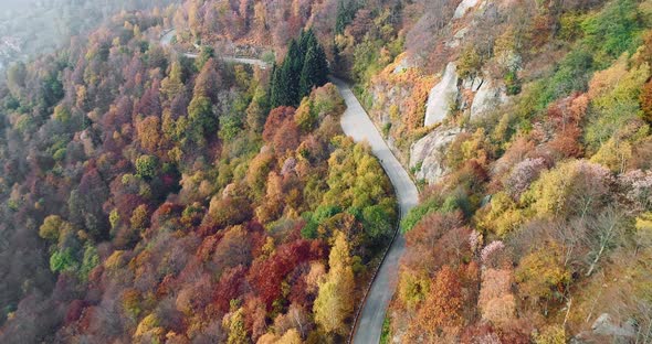 Overhead Aerial Top View Over Road in Colorful Countryside Autumn Forest