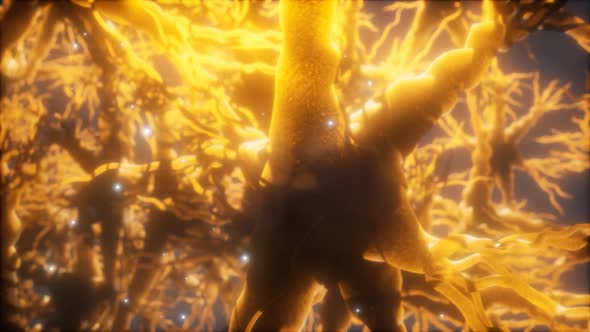Journey Through a Neuron Cell Network Inside the Brain alt