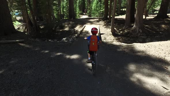 A boy rides his mountain bike on a singletrack dirt trail in the woods.