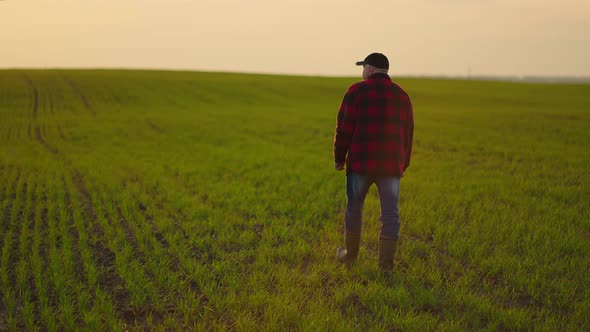 A Working Tractor Driver Walks on a Field of Saplings After a Day's Work in Slow Motion