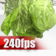 Green Salad 01 - VideoHive Item for Sale