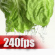 Green Salad 02 - VideoHive Item for Sale