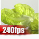 Green Salad 04 - VideoHive Item for Sale