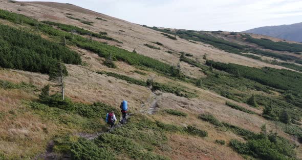 two tourists with large backpacks and a black dog are walking along a path through the mountains