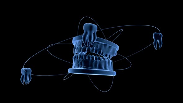 Oral Tooth Tech Rotation