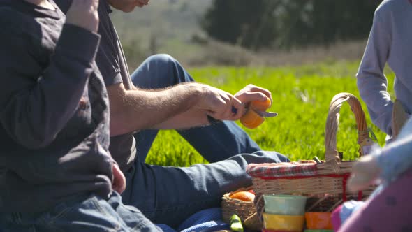 A family with 4 children having a picnic outdoors on a green hill in the sun