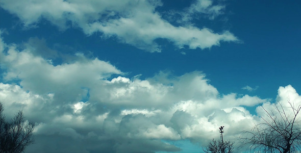 Soft Clouds and Plant alt