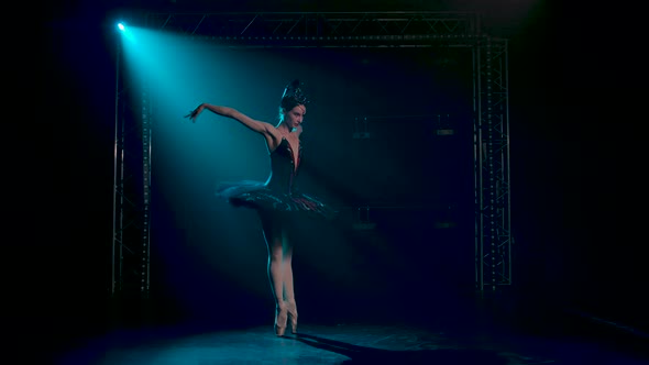 Graceful Ballerina in a Chic Image of a Black Swan. Classical Ballet Choreography. Shot in a Dark