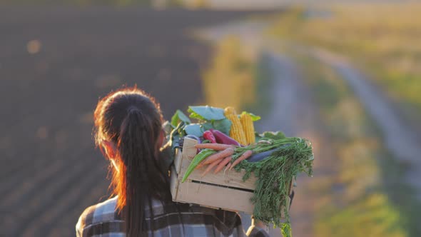 Organic Vegetables