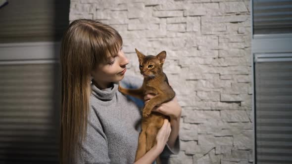Beautiful Woman Kissing and Looking at Cute Abyssinian Cat or Kitten at Home