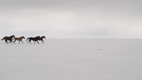 Horses running with cowboys riding across salt flats