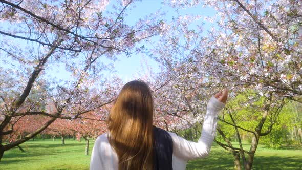 Girl walking in Japanese Garden with blooming trees. Young woman with long hair enjoys spring