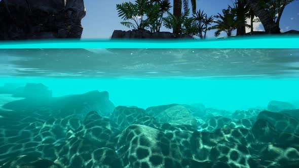 Split View Cross Section of Sea Water and Palm Trees on Island alt
