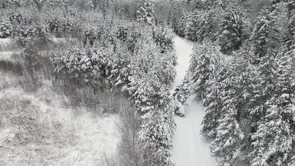 Christmas Winter Forest Fabulously Covered with Snow Aerial View