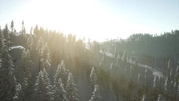 Mountain Landscape on a Winter Sunny Day