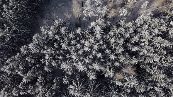 aerial winter landscape