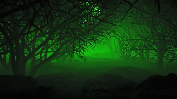 Halloween In Night Forests 01 HD