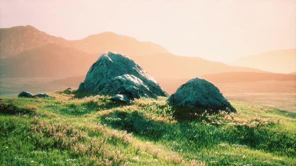 Meadow with Huge Stones Among the Grass on the Hillside at Sunset