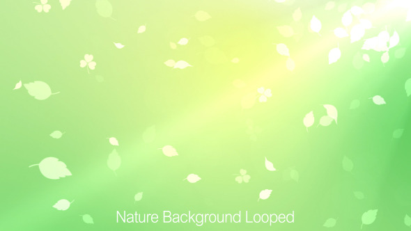 Nature Background