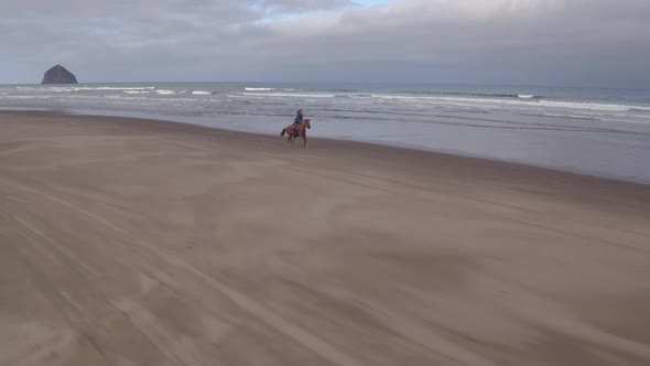 Aerial view of women riding horses at beach