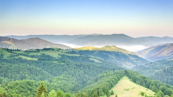 Wonderful Summer Forest at Sun Mountain Range