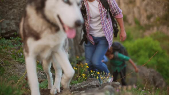 Tourists with Backpacks and Husky Dog Climbing Up Rocky Path Smiling Laughing