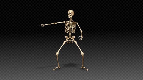 Skeleton Show Dance Joke