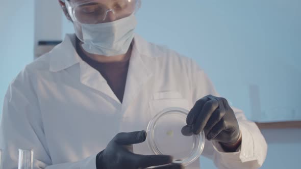 Doctor Researcher in Protective Rubber Gloves and Glasses Examines an Artifact in a Petri Dish