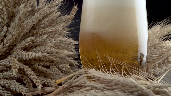 Pouring Beer Into the Glass