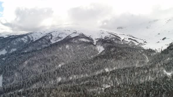 Aerial Landscape of Winter Forest and Mountains with Snowy Peak