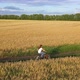 Girl with a Guy Riding a Bike Along a Wheat Field - VideoHive Item for Sale