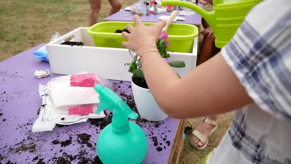 Closeup of Hand Child Daughter and Mother Planting in Flower Pots Together in the Garden