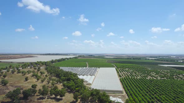 Fields At Sdot Negev Settlement's, Israel