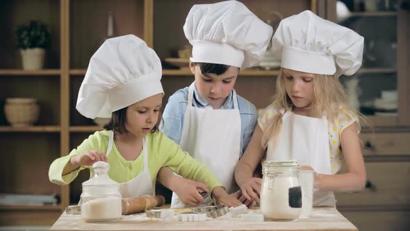 Cutting Out Cookies  alt