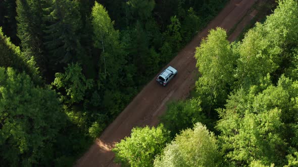 Travelers Drive a Car in the Forest