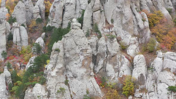 Rocky Cliff on Mountain Slope Covered Green and Orange Forest Aerial View